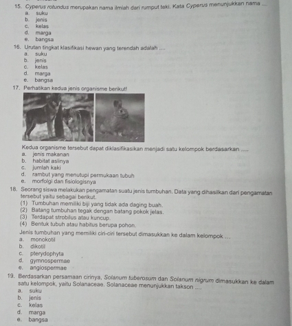 Cyperus rotundus merupakan nama ilmiah dari rumput teki. Kata Cyperus menunjukkan nama
a suku
b. jenis c. kelas
e. bangsa d. mairga
16. Urutan tingkat klasifikasi hewan yang terendah adalah ....
a suku
c. kelas b， jenis
e. bangsa d. marga
17. Perhatikan kedua jenis organisme berikut!
Kedua organisme tersebut dapat diklasifikasikan menjadi satu kelompok berdasarkan ....
a. jenis makanan
c. jumlah kaki b. habitat aslinya
d. rambut yang menutupi permukaan tubuh
e. morfolgi dan fisiologisnya
18. Seorang siswa melakukan pengamatan suatu jenis tumbuhan. Data yang dihasilkan dari pengamatan
tersebut yaitu sebagai berikut.
(1) Tumbuhan memiliki biji yang tidak ada daging buah.
(2) Batang tumbuhan tegak dengan batang pokok jelas.
(3) Terdapat strobilus atau kuncup.
(4) Bentuk tubuh atau habitus berupa pohon.
Jenis tumbuhan yang memiliki ciri-ciri tersebut dimasukkan ke dalam kelompok . . .
b. di kotil a. monokotil
c. pterydophyta
d. gymnospermae
e. angiospermae
19. Berdasarkan persamaan cirinya, Sofanum tuberosum dan Sołanum nigrum dimasukkan ke dalam
satu kelompok, yaitu Solanaceae. Solanaceae menunjukkan takson ....
a, suku
b. jenis
c. kelas
d. marga
e, bangsa