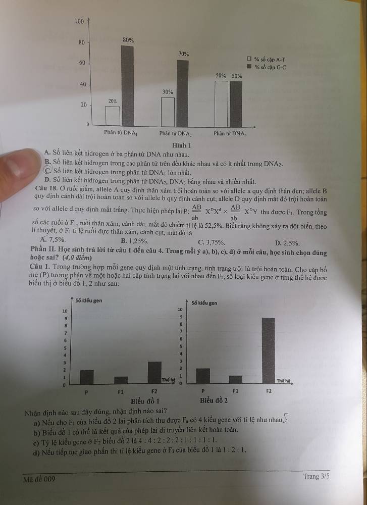 A. Số
B. Số liên kết hidrogen trong các phân tử trên đều khác nhau và có ít nhất trong DNA2.
C. Số liên kết hidrogen trong phân tử DNA; lớn nhất.
D. Số liên kết hidrogen trong phân tử DNA₂, DNA₃ bằng nhau và nhiều nhất.
Câu 18. Ở ruồi giấm, allele A quy định thân xám trội hoàn toàn so với allele a quy định thân đen; allele B
quy định cánh dài trội hoàn toàn so với allele b quy định cánh cụt; allele D quy định mắt đỏ trội hoàn toàn
so với allele d quy định mắt trắng. Thực hiện phép lai P:  AB/ab X^pX^d*  AB/ab X^pY thu được F₁. Trong tổng
số các ruồi ở F_1 , ruồi thân xám, cánh dài, mắt đỏ chiếm tỉ lệ là 52,5%. Biết rằng không xảy ra đột biến, theo
lí thuyết, ở F_1 l  tỉ lệ ruồi đực thân xám, cánh cụt, mắt đỏ là
A. 7,5%. B. 1,25%. C. 3,75%. D. 2,5%.
Phần II. Học sinh trà lời từ câu 1 đến câu 4. Trong mỗi ý a), b), c), d) ở mỗi câu, học sinh chọn đúng
hoặc sai? (4,0 điểm)
Câu 1. Trong trường hợp mỗi gene quy định một tính trạng, tính trạng trội là trội hoàn toàn. Cho cặp bố
mẹ (P) tương phản về một hoặc hai cặp tính trạng lai với nhau đến F_2, số loại kiểu gene ở từng thể hệ được
biểu thị ở biểu đồ 1, 2 như sau:
Nhận định nào sau đây đúng, nhận định nào sai?
a) Nếu cho Fị của biểu đồ 2 lai phân tích thu được F_a có 4 kiểu gene với tỉ lệ như nhau
b) Biểu đồ 1 có thể là kết quả của phép lai đi truyền liên kết hoàn toàn.
c) Tỷ lệ kiều gene ở F_2 biểu đồ 2 là 4:4:2:2:2:1:1:1:1.
d) Nếu tiếp tục giao phần thì tỉ lệ kiểu gene ở F3 của biểu đồ 1 là 1:2:1.
Ma đẻ 009 Trang 3/5