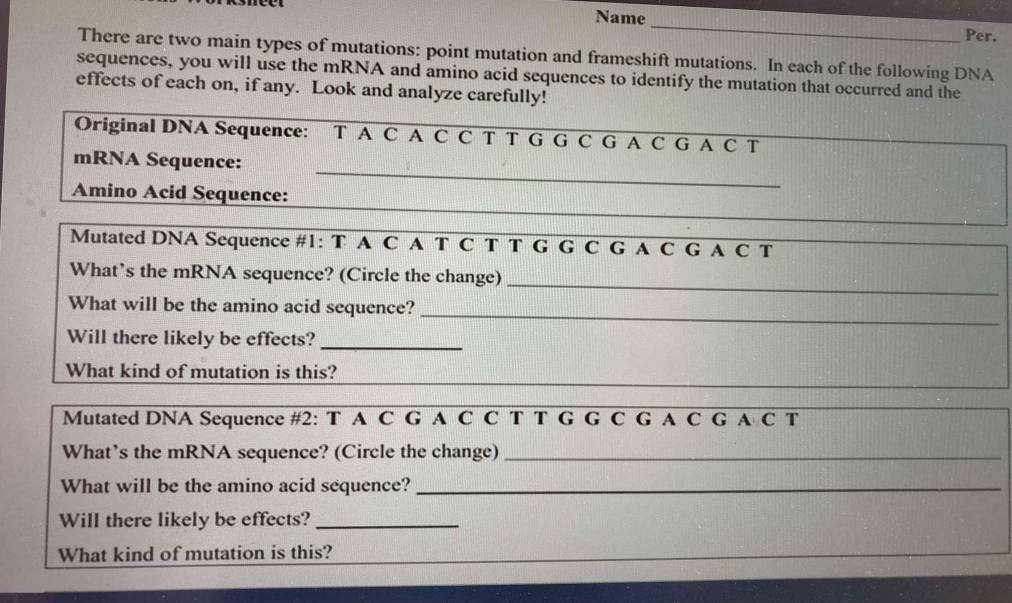 Name 
_ 
Per. 
There are two main types of mutations: point mutation and frameshift mutations. In each of the following DNA 
sequences, you will use the mRNA and amino acid sequences to identify the mutation that occurred and the 
effects of each on, if any. Look and analyze carefully! 
Original DNA Sequence: T A C A C C T T G G C G A C G A C T 
_ 
_ 
mRNA Sequence: 
Amino Acid Sequence: 
Mutated DNA Sequence #1: T A C A T C T T G G C G A C G A C T 
_ 
What’s the mRNA sequence? (Circle the change) 
_ 
What will be the amino acid sequence? 
Will there likely be effects?_ 
What kind of mutation is this? 
Mutated DNA Sequence #2: T A C G A C C T T G G C G A C G A C T 
What’s the mRNA sequence? (Circle the change)_ 
What will be the amino acid sequence?_ 
Will there likely be effects?_ 
What kind of mutation is this?