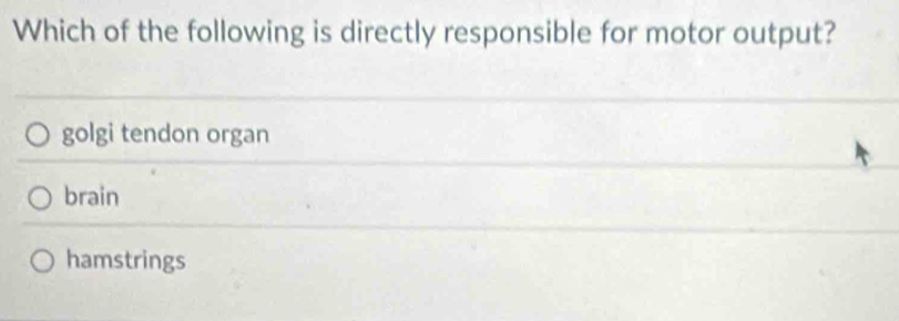 Which of the following is directly responsible for motor output?
golgi tendon organ
brain
hamstrings