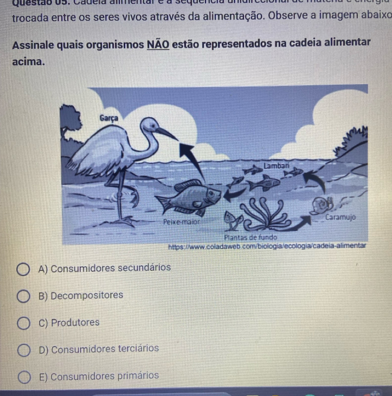 Questão o5. Cadeia ammentar e a sequ
trocada entre os seres vivos através da alimentação. Observe a imagem abaixo
Assinale quais organismos NÃO estão representados na cadeia alimentar
acima.
A) Consumidores secundários
B) Decompositores
C) Produtores
D) Consumidores terciários
E) Consumidores primários