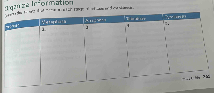 Organize Information 
s that occur in each stage of mitosis and cytokinesis. 
5