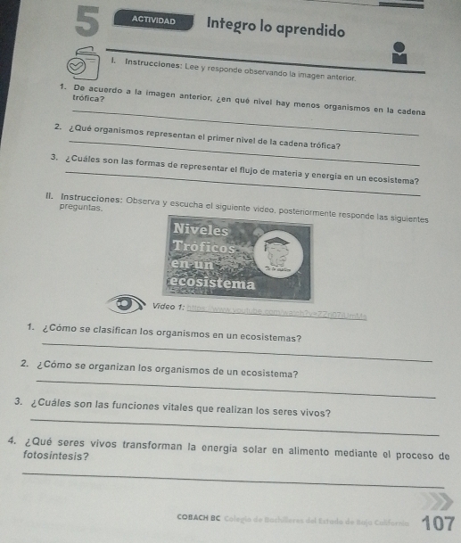 ACTIVIDAD Integro lo aprendido 
I. Instrucciones: Lee y responde observando la imagen anterior. 
trófica? 
_ 
1. De acuerdo a la imagen anterior, ¿en qué nivel hay menos organismos en la cadena 
_ 
2. ¿Que organismos representan el primer nivel de la cadena trófica? 
3. ¿Cuáles son las formas de representar el flujo de matería y energía en un ecosistema? 
preguntas 
II. Instrucciones: Observa y escucha el siguiente video, posnte responde las siguientes 
Video 1: 7 _?v=22r07iUmM 
_ 
1. ¿Cómo se clasifican los organismos en un ecosistemas? 
_ 
2. ¿Cómo se organizan los organismos de un ecosistema? 
_ 
3. ¿Cuáles son las funciones vitales que realizan los seres vivos? 
4. ¿Qué seres vivos transforman la energía solar en alimento mediante el proceso de 
fotosintesis? 
_ 
COBACH BC Calegío de Bachilleres del Estado de Roja Califórnía 107