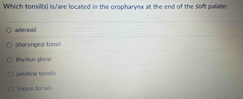 Which tonsil(s) is/are located in the oropharynx at the end of the soft palate:
adenoid
pharyngeal tonsil
thymus gland
palatine tonsils
lingual tonsils