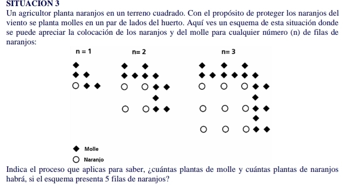 SITUACION 3
Un agricultor planta naranjos en un terreno cuadrado. Con el propósito de proteger los naranjos del
viento se planta molles en un par de lados del huerto. Aquí ves un esquema de esta situación donde
se puede apreciar la colocación de los naranjos y del molle para cualquier número (n) de filas de
naranjos:
n=1 n=2
Molle
Naranjo
Indica el proceso que aplicas para saber, ¿cuántas plantas de molle y cuántas plantas de naranjos
habrá, si el esquema presenta 5 filas de naranjos?