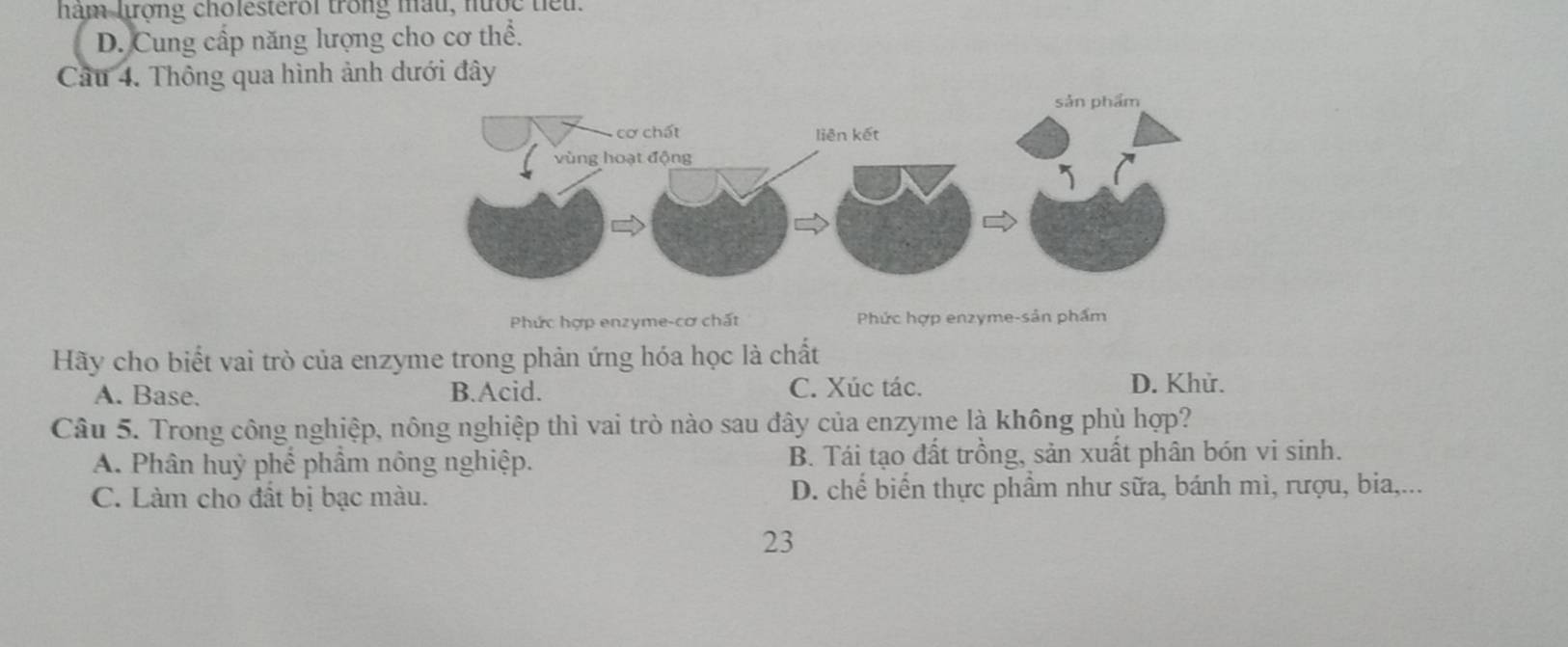 ham lượng cholesterol trong mau, nước teu.
D. Cung cấp năng lượng cho cơ thể.
Câu 4. Thông qua hình ảnh dưới đây
Phức hợp enzyme-cơ chất Phức hợp enzyme-sản phẩm
Hãy cho biết vai trò của enzyme trong phản ứng hóa học là chất
A. Base. B.Acid. C. Xúc tác. D. Khử.
Câu 5. Trong công nghiệp, nông nghiệp thì vai trò nào sau đây của enzyme là không phù hợp?
A. Phân huỳ phế phẩm nông nghiệp. B. Tái tạo đất trồng, sản xuất phân bón vi sinh.
C. Làm cho đất bị bạc màu. D. chế biển thực phẩm như sữa, bánh mì, rượu, bia,...
23