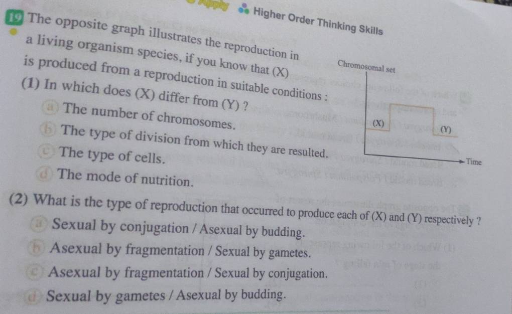 Solved: Higher Order Thinking Skills 1 The opposite graph illustrates ...