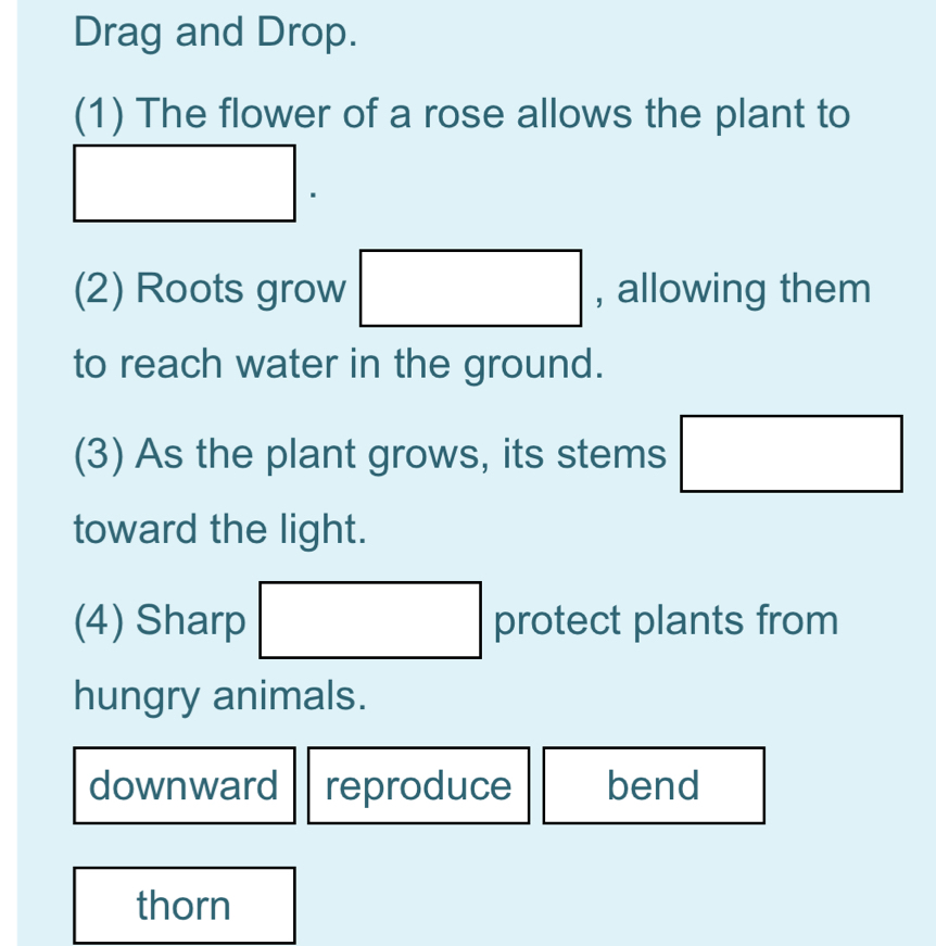 Drag and Drop. 
(1) The flower of a rose allows the plant to 
(2) Roots grow , allowing them 
to reach water in the ground. 
(3) As the plant grows, its stems 
toward the light. 
(4) Sharp protect plants from 
hungry animals. 
downward reproduce bend 
thorn