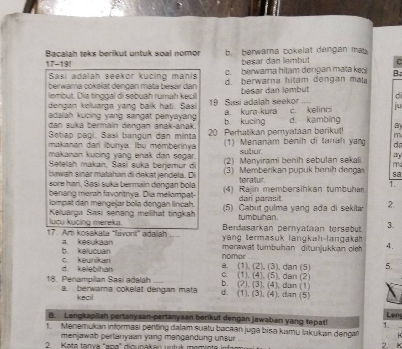 Bacalah teks berikut untuk soal nomor b. berwarna cokelat dengan mata
17-19I besar dan lembut C
Sasi adalah seekor kucing manis c. berwara hitam dengan mata ke B
berwama cokelät dengan mata besar dan d. berwarna hitam dengan mata
lembut. Día tinggal di sebuah rumah kecil besar dan lembut
di
dengan keluarga yang baik hati. Sasi 19 Sasi adalah seekor ....
a. kura-kura c. kelinci
ju
adalah kucing yang sangat penyayang . b. kucing d. kambing
dan suka bermain dengan anak-anak. ay
Setiap pagi, Sasí bangun dan minta 20 Perhatikan pernyataan berikut!
m
makanan dari ibunya. Ibu memberinya (1) Menanam benih di tanah yang da
subur.
makanan kucing yang enak dan segar. ay
Setelah makan, Sasi suka berjemur di (2) Menyirami benih sebulan sekali.
m
bawah sinar matahari di dekat jendela. Di (3) Memberikan pupuk benih dengan sa
teratur.
1.
sore hari, Sasi suka bermain dengan bola (4) Rajin membersihkan tumbuha
benang merah favoritnya. Dia melompat-
dari parasit.
lompat dan mengejar bola dengan lincah.
Keluarga Sasi senang melihat tingkah (5) Cabut gulma yang ada di sekitar 2.
tumbuhan.
lucu kucing mereka.
Berdasarkan pernyataan tersebut 3.
17. Arti kosakata “fávorit” adalah ....
yang termasuk langkah-langakah
a. kesukaan merawat tumbuhan ditunjukkan oleh 4.
b. kelucuan
nomor
c. keunikan a. (1), (2), (3) , dan (5) 5.
d. kelebihan c. (1), (4), (5) ), dan (2)
18. Penampilan Sasi adalah .. b. (2), (3), (4), dan (1)
a. berwarna cokelat dengan mata d. (1), (3), (4), dan (5)
kecil
Leng
B. Lengkapilah pertanyaan-pertanyaan berikut dengan jawaban yang tepat!
1.
1. Menemukan informasi penting dalam suatu bacaan juga bisa kamu lakukan dengan   
menjawab pertanyaan yang mengandung unsur ....
2. Kata tanva "apa” digunakan untuk meminta infor 2. K