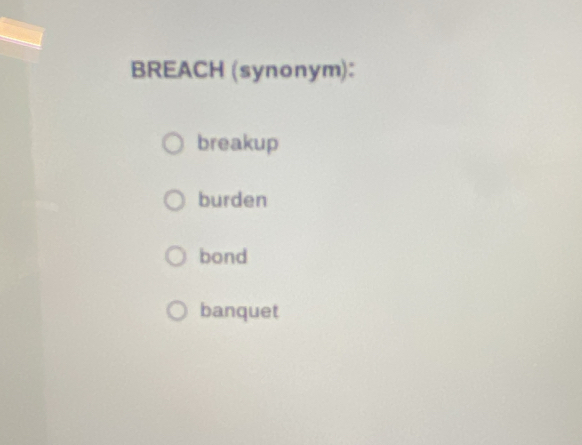 BREACH (synonym):
breakup
burden
bond
banquet