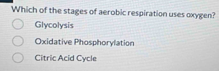 Which of the stages of aerobic respiration uses oxygen?
Glycolysis
Oxidative Phosphorylation
Citric Acid Cycle