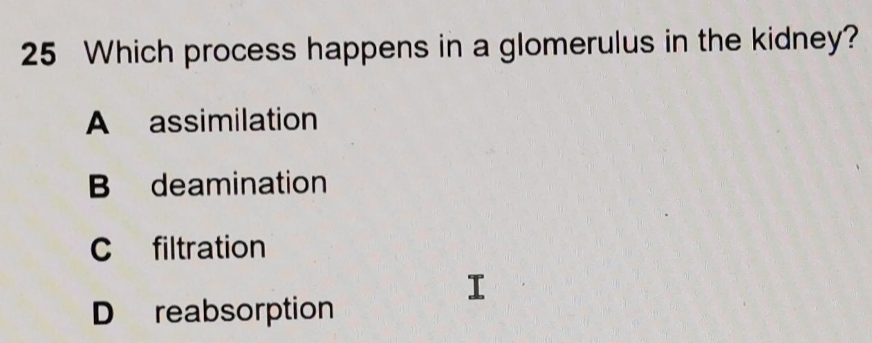 Which process happens in a glomerulus in the kidney?
A assimilation
B deamination
C filtration
D reabsorption