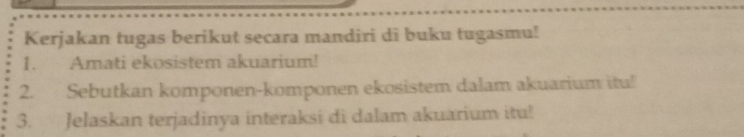 Kerjakan tugas berikut secara mandiri di buku tugasmu! 
1. Amati ekosistem akuarium! 
2. Sebutkan komponen-komponen ekosistem dalam akuarium itu! 
3. Jelaskan terjadinya interaksi di dalam akuarium itu!