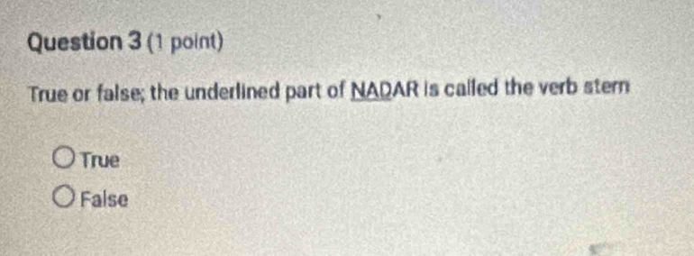 True or false; the underlined part of NADAR is called the verb stern
True
False