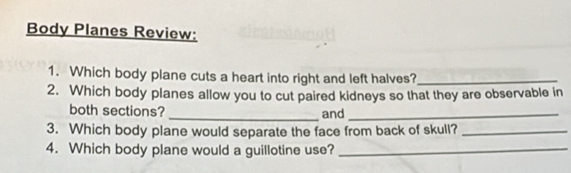 Body Planes Review: 
1. Which body plane cuts a heart into right and left halves?_ 
2. Which body planes allow you to cut paired kidneys so that they are observable in 
both sections? _and_ 
3. Which body plane would separate the face from back of skull?_ 
4. Which body plane would a guillotine use?_