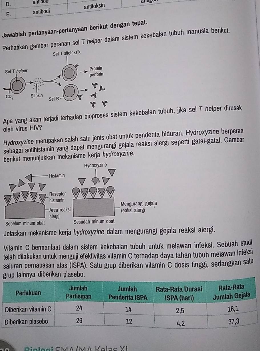 D. antiboul
E. antibodi antitoksin
Jawablah pertanyaan-pertanyaan berikut dengan tepat.
Perhatikan gambar peranan sel T helper dalam sistem kekebalan tubuh manusia berikut.
Apa yang akan terjadi terhadap bioproses sistem kekebalan tubuh, jika sel T helper dirusak
oleh virus HIV?
Hydroxyzine merupakan salah satu jenis obat untuk penderita biduran. Hydroxyzine berperan
sebagai antihistamin yang dapat mengurangi gejala reaksi alergi seperti gatal-gatal. Gambar
berikut menunjukkan mekanisme kerja hydroxyzine.
Jelaskan mekanisme kerja hydroxyzine dalam mengurangi gejala reaksi alergi.
Vitamin C bermanfaat dalam sistem kekebalan tubuh untuk melawan infeksi. Sebuah studi
telah dilakukan untuk menguji efektivitas vitamin C terhadap daya tahan tubuh melawan infeksi
saluran pernapasan atas (ISPA). Satu grup diberikan vitamin C dosis tinggi, sedangkan satu
grup lainnya diberikan plasebo.
P ie lagi C M A /MA K o l a c  Y I