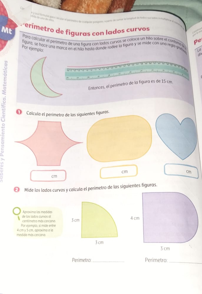 usa fórmulas para caícular el penmetro de cualquier polígono, a parte de sumar la tongitul de toios sus lados o multptica ea 
iida de no de ellos 
P ím etro de figuras con lados curvos 
Mt 
Caity 
Para calcular el perímetro de una figura con lados curvos se coloca un hilo sobre el contonod Pe 
figura, se hace una marca en el hilo hasta donde rodee la figura y se mide con una regla gradu La 
Por ejemplo: 
di 

Entonces, el perimetro de la figura es de 15 cm
① Calcula el perímetro de las siguientes figuras.
cm
cm
cm
a 
* Mide los lados curvos y calcula el perímetro de las siguientes figuras. 
Aproxima las medidas 
de los lados curvos al4 cm 
centímetro más cercano. 
Por ejemplo, si mide entre
4 cm y 5 cm, aproxima a la 
medida más cercana
3 cm
Perímetro: _Perímetro:_