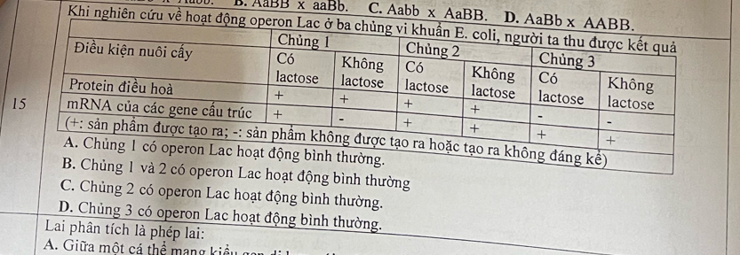 AaBB x aaBb. C. Aabb x AaBB. D
Khi nghiên cứu về hoạ
động bình thường
C. Chủng 2 có operon Lac hoạt động bình thường.
D. Chủng 3 có operon Lac hoạt động bình thường.
Lai phân tích là phép lai:
A. Giữa một cá thể mang kiểu g