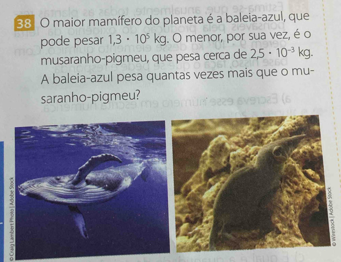 maior mamífero do planeta é a baleia-azul, que 
pode pesar 1,3· 10^5kg. O menor, por sua vez, é o 
musaranho-pigmeu, que pesa cerca de 2,5· 10^(-3)kg. 
A baleia-azul pesa quantas vezes mais que o mu- 
saranho-pigmeu? 
ξ