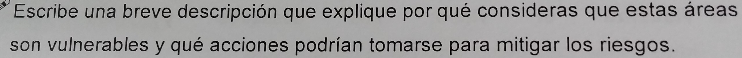 Escribe una breve descripción que explique por qué consideras que estas áreas 
son vulnerables y qué acciones podrían tomarse para mitigar los riesgos.