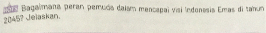 Bagaimana peran pemuda dalam mencapai visi Indonesia Emas di tahun
2045? Jelaskan.