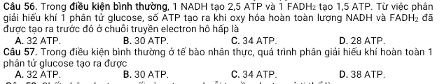 Trong điều kiện bình thường, 1 NADH tạo 2, 5 ATP và 1 FADH₂ tạo 1,5 ATP. Từ việc phân
giải hiếu khí 1 phân tử glucose, số ATP tạo ra khi oxy hóa hoàn toàn lượng NADH và FADH_2 đã
được tạo ra trước đó ở chuỗi truyền electron hô hấp là
A. 32 ATP. B. 30 ATP. C. 34 ATP. D. 28 ATP.
Câu 57. Trong điều kiện bình thường ở tế bào nhân thực, quá trình phân giải hiếu khí hoàn toàn 1
phân tử glucose tạo ra được
A. 32 ATP. B. 30 ATP. C. 34 ATP. D. 38 ATP.