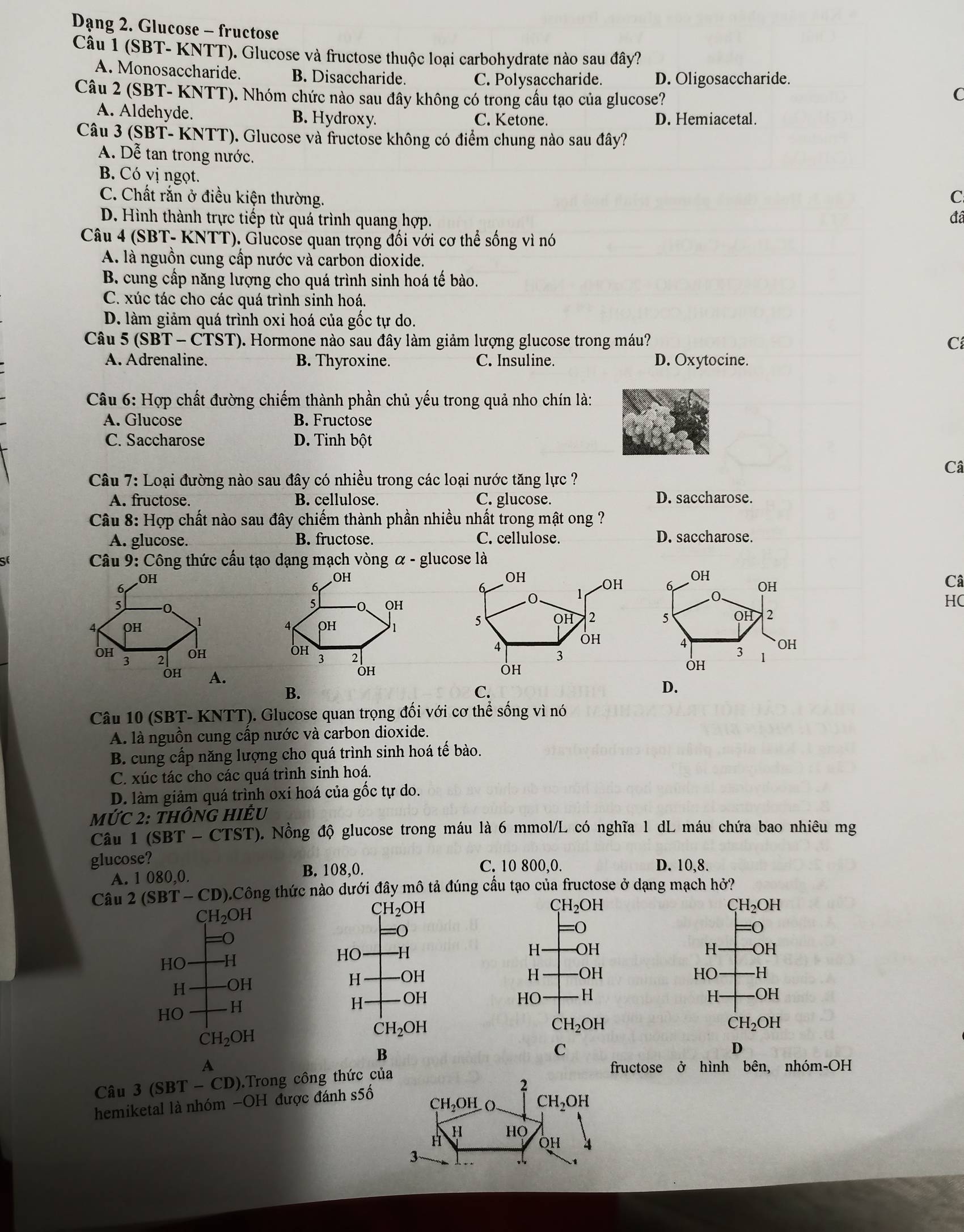 Dạng 2. Glucose - fructose
Câu 1 (SBT- KNTT). Glucose và fructose thuộc loại carbohydrate nào sau đây?
A. Monosaccharide. B. Disaccharide.
C. Polysaccharide. D. Oligosaccharide.
Câu 2 (SBT- KNTT). Nhóm chức nào sau đây không có trong cầu tạo của glucose?
C
A. Aldehyde. B. Hydroxy. C. Ketone. D. Hemiacetal.
Câu 3 (ŞBT- KNTT). Glucose và fructose không có điểm chung nào sau đây?
A. Dễ tan trong nước.
B. Có vị ngọt.
C. Chất rắn ở điều kiện thường. C
D. Hình thành trực tiếp từ quá trình quang hợp.
đã
Câu 4 (SBT- KNTT). Glucose quan trọng đối với cơ thể sống vì nó
A. là nguồn cung cấp nước và carbon dioxide.
B. cung cấp năng lượng cho quá trình sinh hoá tế bào.
C. xúc tác cho các quá trình sinh hoá.
D. làm giảm quá trình oxi hoá của gốc tự do.
Câu 5 (SBT- - CTST). Hormone nào sau đây làm giảm lượng glucose trong máu? C
A. Adrenaline. B. Thyroxine. C. Insuline. D. Oxytocine.
Câu 6: Hợp chất đường chiếm thành phần chủ yếu trong quả nho chín là:
A. Glucose B. Fructose
C. Saccharose D. Tinh bột
Câ
Câu 7: Loại đường nào sau đây có nhiều trong các loại nước tăng lực ?
A. fructose. B. cellulose. C. glucose. D. saccharose.
Câu 8: Hợp chất nào sau đây chiếm thành phần nhiều nhất trong mật ong ?
A. glucose. B. fructose. C. cellulose. D. saccharose.
Sf *  Câu 9: Công thức cầu tạo dạng mạch vòng α - glucose là
,OH OH OH
6
6
OH 6 OH
Câ
5
0 OH
0 1
0、
HC
4 OH 1
OH 2 5 OH 2
OH
OH
2 3 3 1
OH 3
OH
OH
OH
B.
C.
D.
Câu 10 (SBT- KNTT). Glucose quan trọng đối với cơ thể sống vì nó
A. là nguồn cung cấp nước và carbon dioxide.
B. cung cấp năng lượng cho quá trình sinh hoá tế bào.
C. xúc tác cho các quá trình sinh hoá.
D. làm giảm quá trình oxi hoá của gốc tự do.
MUC2: * ThônG HiÉu
Câu 1 (SBT-CTST). Nồng độ glucose trong máu là 6 mmol/L có nghĩa 1 dL máu chứa bao nhiêu mg
glucose? D. 10,8.
A. 1 080,0. B. 108,0.
C. 10 800,0.
Câu 2(SBT-CD) 0.Công thức nào dưới đây mô tả đúng cầu tạo của fructose ở dạng mạch hở?
CH_2OH
CH_2OH
CH_2OH
CH_2OH
-0
=0
0
HO -H HO H
H- OH H OH
H OH
H OH H OH HO -H
HO H
H OH HO  H H- -OH
CH_2OH
CH_2OH
CH_2OH
CH_2OH
B
C
D
A fructose ở hình bên, nhóm-OH
Câu 3 (SBT - CD).Trong công thức của
2
CH_2OH CH_2OH
hemiketal là nhóm −OH được đánh s5ố
H H HO
OH
3
A