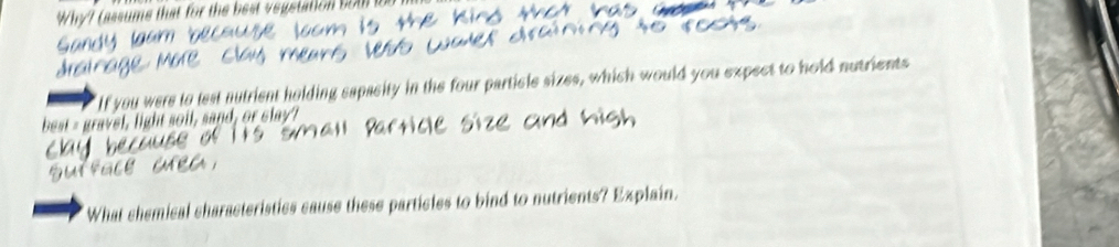 Why? (assume that for the best vegetation bot t 
"If you were to lest nutrient holding sapasity in the four particle sizes, which would you expect to hold nutrients 
best = gravel, light soil, sand, or clay? 
What chemical characteristics cause these particles to bind to nutrients? Explain.