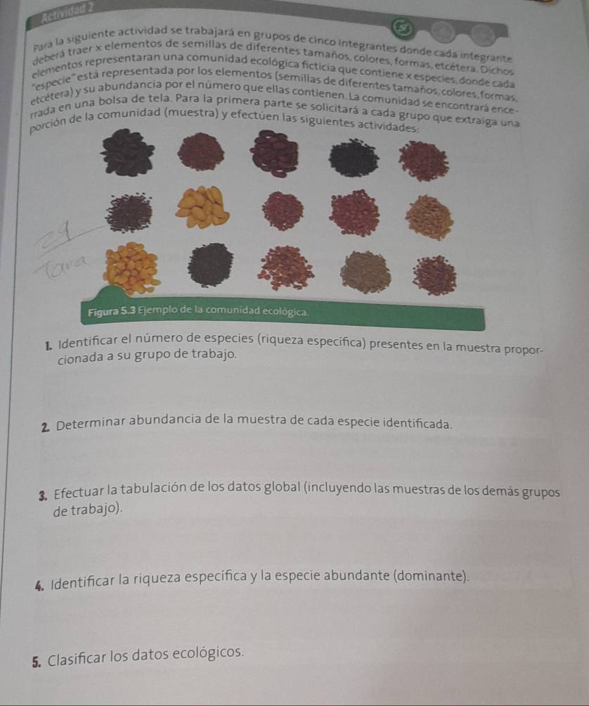 Actividad 2 
Para la siguiente actividad se trabajará en grupos de cinco integrantes donde cada integrante 
deberá traer x elementos de semillas de diferentes tamaños, colores, formas, etcétera. Dichos 
elementos representaran una comunidad ecológica ficticia que contiene x especies, donde cada 
'especie' está representada por los elementos (semillas de diferentes tamaños, colores, formas, 
etcétera) y su abundancia por el número que ellas contienen. La comunidad se encontrará ence 
rrada en una bolsa de tela. Para la primera parte se solicitará a cada grupo que extraiga una 
porc de la comunidad (muestra) y efectúen las sig 
a 
T 
I Identificar el número de especies (riqueza especifica) presentes en la muestra propor- 
cionada a su grupo de trabajo. 
2 Determinar abundancia de la muestra de cada especie identificada. 
3 Efectuar la tabulación de los datos global (incluyendo las muestras de los demás grupos 
de trabajo). 
4 Identificar la riqueza específica y la especie abundante (dominante). 
5. Clasificar los datos ecológicos.