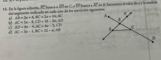 En la figura adjunta, overline EC biseca a overline AD en C, y overline EF biseca a overline ACenB 3. Encuentra el valor de x y la medida 
del segmento indicado en cada uno de los ejercicios siguientes: 
2) AB=3x+6, BC=2x+14; AC
b) AC=5x-8, CD=16-3x; AD
c) AD=6x-4, AC=4x-3; CD
d) AC=3x-1, BC=12-x; AB