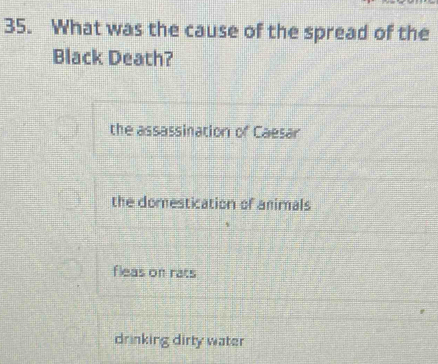 What was the cause of the spread of the
Black Death?
the assassination of Caesar
the domestication of animals
fleas on rats
drinking dirty water