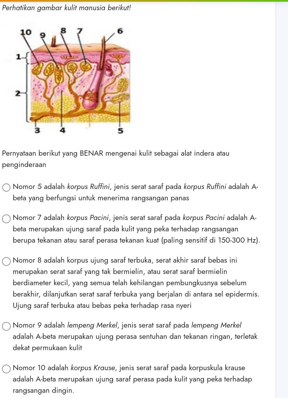 Telah dijawab:Perhatikan gambar kulit manusia berikut! Pernyataan ...