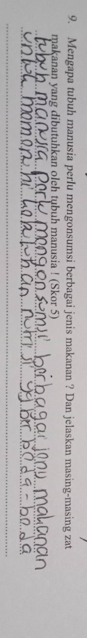 Mengapa tubuh manusia perlu mengonsumsi berbagai jenis makanan ? Dan jelaskan masing-masing zat 
makanan yang dibutuhkan oleh tubuh manusia ! (Skor 5) 
_ 
_ 
_ 
_ 
_
