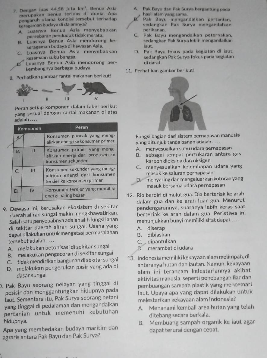 Dengan luas 44,58 juta km^2 , Benua Asia A. Pak Bayu dan Pak Surya bergantung pada
merupakan benua terluas di dunia. Apa hasil alam yang sama.
pengaruh utama kondisi tersebut terhadap B. Pak Bayu mengandalkan pertanian.
keragaman budaya di dalamnya? sedangkan Pak Surya mengandalkan
A. Luasnya Benua Asia menyebabkan perikanan.
persebaran penduduk tidak merata. C. Pak Bayu mengandalkan peternakan,
B. Luasnya Benua Asia mendorong ke- sedangkan Pak Surya lebih mengandalkan
seragaman budaya di kawasan Asia. laut.
C. Luasnya Benua Asia menyebabkan D. Pak Bayu fokus pada kegiatan di laut,
kesamaan suku bangsa. sedangkan Pak Surya fokus pada kegiatan
D. Luasnya Benua Asia mendorong ber- di darat.
kembangnya berbagai budaya. 11. Perhatikan gambar berikut!
8. Perhatikan gambar rantai makanan berikut!
1 ''' IV
Peran setiap komponen dalam tabel berikut
yang sesuai dengan rantai makanan di atas
Fungsi bagian dari sistem pernapasan manusia
yang ditunjuk tanda panah adalah . . . .
A. menyesuaikan suhu udara pernapasan
B. sebagai tempat pertukaran antara gas
karbon dioksida dan oksigen
C. menyesuaikan kelembapan udara yang
masuk ke saluran pernapasan
D. menyaring dan mengeluarkan kotoran yang
masuk bersama udara pernapasan
12. Rio berdiri di mulut gua. Dia berteriak ke arah
dalam gua dan ke arah luar gua. Menurut
9. Dewasa ini, kerusakan ekosistem di sekitar pendengarannya, suaranya lebih keras saat
daerah aliran sungai makin mengkhawatirkan. berteriak ke arah dalam gua. Peristiwa ini
Saľah satu penyebabnya adalah alih fungsi Iahan menunjukkan bunyi memiliki sifat dapat . . . .
di sekitar daerah aliran sungai. Usaha yang A. diserap
dapat dilakukan untuk mengatasi permasalahan B. dibiaskan
tersebut adalah . . . . C. dipantulkan
A. melakukan betonisasi di sekitar sungai D. merambat di udara
B. melakukan pengecoran di sekitar sungai
C. tidak mendirikan bangunan di sekitar sungai 13. Indonesia memiliki kekayaan alam melimpah, di
D. melakukan pengerukan pasir yang ada di antaranya hutan dan lautan. Namun, kekayaan
dasar sungai alam ini terancam kelestariannya akibat
aktivitas manusia, seperti penebangan liar dan
. Pak Bayu seorang nelayan yang tinggal di pembuangan sampah plastik yang mencemari
pesisir dan menggantungkan hidupnya pada laut. Upaya apa yang dapat dilakukan untuk
laut. Sementara itu, Pak Surya seorang petani melestarikan kekayaan alam Indonesia?
yang tinggal di pedalaman dan mengandalkan
pertanian untuk memenuhi kebutuhan A. Menanami kembali area hutan yang telah
ditebang secara berkala.
hidupnya.
B. Membuang sampah organik ke laut agar
Apa yang membedakan budaya maritim dan dapat terurai dengan cepat.
agraris antara Pak Bayu dan Pak Surya?