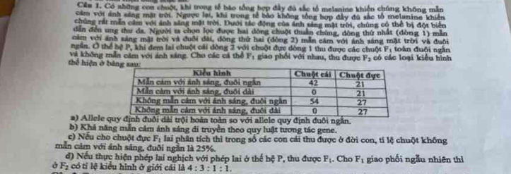 Cầu 1. Có những con chuột, khi trong tế báo tổng bợp đây đú sắc tổ melanine khiện chúng không mẫn 
ăm với ảnh sáng mặt trời. Ngưọc lại, khi trong tế bão không tổng hợp đây đú sắc tổ melanine khiến 
chúng rất mẫn cầm với ảnh săng mặt trời. Dưới tác động của ảnh sáng mặt trời, chúng có thể bị đột biển 
dễn đến ung thư da. Người ta chon lọc được hai đông chuột thuần chúng, dòng thứ nhất (đòng 1) mẫn 
cảm với ánh sáng mặt trời và đuỡi đài, đòng thử hai (đòng 2) mẫn căm với ảnh sáng mặt trời và đuôi 
ngễn. Ô thể hệ P, khi đem lai chuột cái động 2 với chuột đực dòng 1 thu được các chuột F toàn đuôi ngắn 
và không mẫn cảm với ánh sáng. Cho các cá thể F_1 giao phối với nhau, thu được F_3 có các loại kiểu hình 
thể hiện ở 
2) Allele quy định đuôi dài trội hoàn toàn so với allele quy định đuôi ngắn. 
b) Khả năng mẫn căm ảnh sáng di truyền theo quy luật tương tác gene. 
c) Nếu cho chuột đực F_1 lai phân tích thì trong số các con cái thu được ở đời con, tỉ lệ chuột không 
mẫn cảm với ánh sáng, đuôi ngắn là 25%. 
d) Nếu thực hiện phép lai nghịch với phép lai ở thế hệ P, thu được F_1. Cho F_1 giao phối ngẫu nhiên thì
F_2 có tỉ lệ kiểu hình ở giới cái là 4:3:1:1.