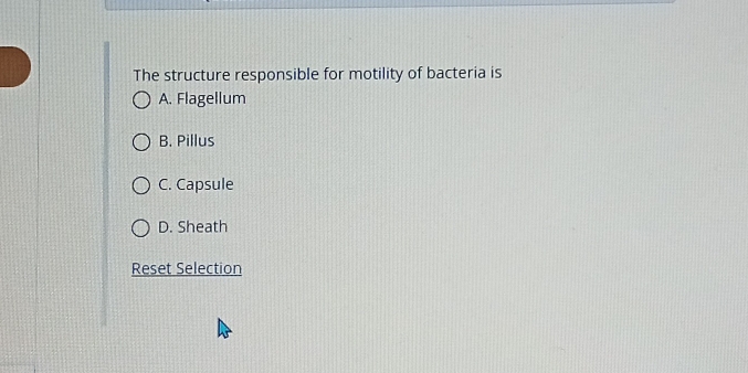 The structure responsible for motility of bacteria is
A. Flagellum
B. Pillus
C. Capsule
D. Sheath
Reset Selection