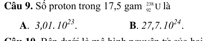 Sổ proton trong 17,5 gam beginarrayr 238 92endarray u là
A. 3,01.10^(23). B. 27, 7.10^(24).