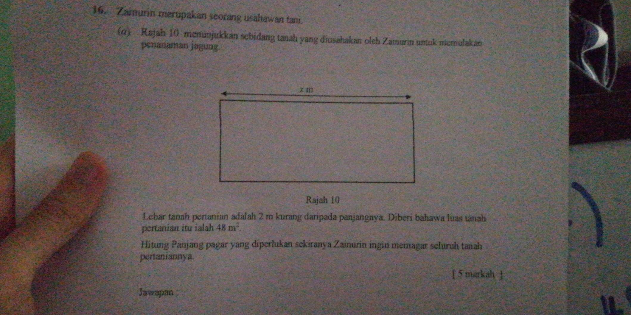 Zamurin merupakan seorang usahawan tani. 
(α) Rajah 10 . menünjukkan sebidang tanah yang diusahakan oleh Zaiurin untuk memulakan 
penanaman jagung. 
Rajah 10 
Lebar tanah pertanian adalah 2 m kurang daripada panjangnya. Diberi bahawa luas tanah 
pertanian itu ialah 48m^2. 
Hitung Panjang pagar yang diperlukan sekiranya Zainurin ingin memagar seluruh tanah 
pertaniannya. 
[ 5 markah ] 
Jawapan ;