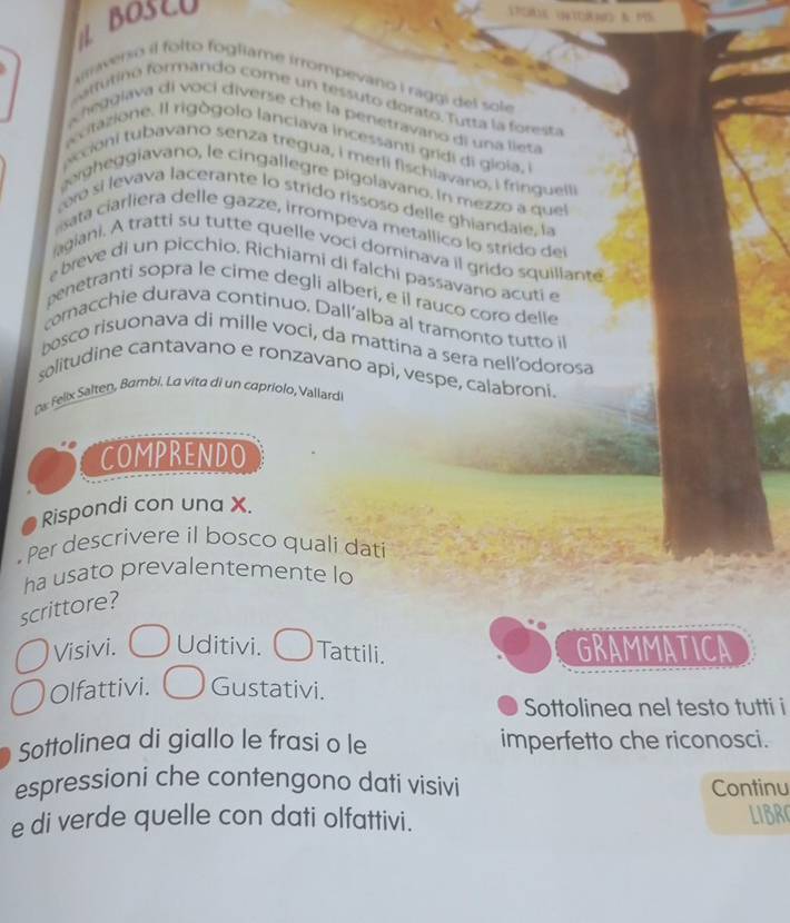 BOSLU
araverso il folto fogliame irrompevano i raggi del sole
olfutinó formando come un tessuto dorato. Tutta la foresta
heggiava di voci diverse che la penetravano di una lieta
acitazione. Il rigògolo lanciava incessanti gridi di gloia, l
accioni tubavano senza tregua, i merli fischiavano, i fringuelli
gh giavano, le cingallegre pigolavano. In mezzo a que
ró si levava lacerante lo strido rissoso delle ghiandale, la
ata ciarliera delle gazze, irrompeva metallico lo strido del
agiani. A tratti su tutte quelle voci dominava il grido squillante
e breve di un picchio. Richiami di falchi passavano acuti e
penetranti sopra le cime degli alberi, e il rauco coro delle
comacchie durava continuo, Dall’alba al tramonto tutto il
bosco risuonava di mille voci, da mattina a sera nell'odorosa
solitudine cantavano e ronzavano api, vespe, calabroni.
da: Felix Salten, Bambi. La vita di un capriolo, Vallardi
COMPRENDO
Rispondi con una X.
Per descrivere il bosco quali dati
ha usato prevalentemente lo
scrittore?
Visivi. Uditivi. ( Tattili. GRAMMATICA
Olfattivi. Gustativi.
Sottolinea nel testo tutti i
Sottolinea di giallo le frasi o le imperfetto che riconosci.
espressioni che contengono dati visivi Continu
e di verde quelle con dati olfattivi. LIBR