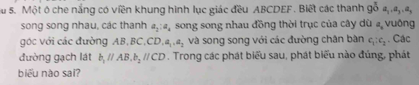 Su 5. Một ô che nắng có viền khung hình lục giác đều ABCDEF. Biết các thanh goa_1, a_3, a_3, 
song song nhau, các thanh a_2:a_4 song song nhau đồng thời trục của cây dù a_6 vuông 
góc với các đường AB, BC C, CD, a_1, a_2 và song song với các đường chân bàn c_1:c_2. Các 
đường gạch lát b_1parallel AB, b_2parallel CD. Trong các phát biểu sau, phát biểu nào đúng, phát 
biểu nào sai?