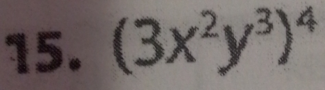 (3x^2y^3)^4