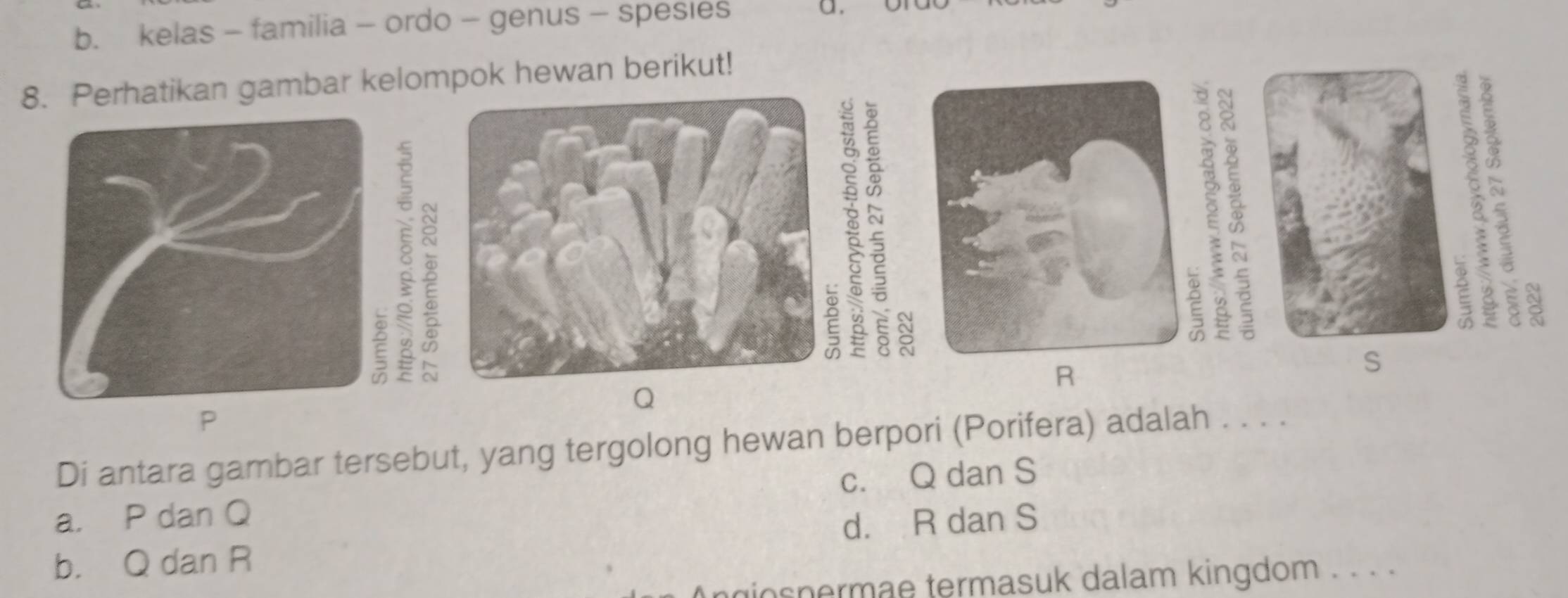 b. kelas - familia - ordo - genus - spesies
a.
8. Perhatikan gambar kelompok hewan berikut!
E
S
2
S
Q
Di antara gambar tersebut, yang tergolong hewan berpori (Porifera) adalah . . . .
a. P dan Q c. Q dan S
b. Q dan R d. R dan S
niospermae termasuk dalam kingdom . . . .