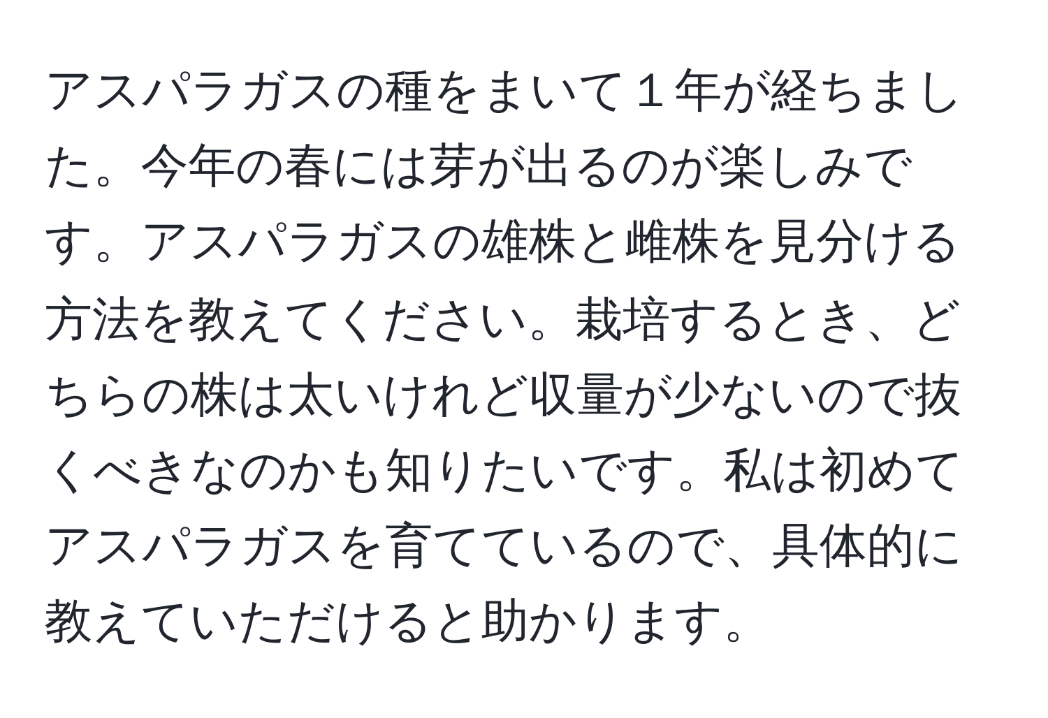 アスパラガスの種をまいて１年が経ちました。今年の春には芽が出るのが楽しみです。アスパラガスの雄株と雌株を見分ける方法を教えてください。栽培するとき、どちらの株は太いけれど収量が少ないので抜くべきなのかも知りたいです。私は初めてアスパラガスを育てているので、具体的に教えていただけると助かります。