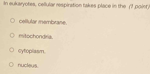 In eukaryotes, cellular respiration takes place in the (1 point)
cellular membrane.
mitochondria.
cytoplasm.
nucleus.