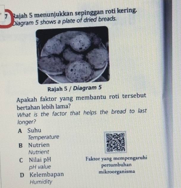 Rajah 5 menunjukkan sepinggan roti kering.
Diagram 5 shows a plate of dried breads.
Rajah 5 / Diagram 5
Apakah faktor yang membantu roti tersebut
bertahan lebih lama?
What is the factor that helps the bread to last
longer?
A Suhu
Temperature
B Nutrien
Nutrient
C Nilai pH Faktor yang mempengaruhi
pH value pertumbuhan
D Kelembapan mikroorganisma
Humidity