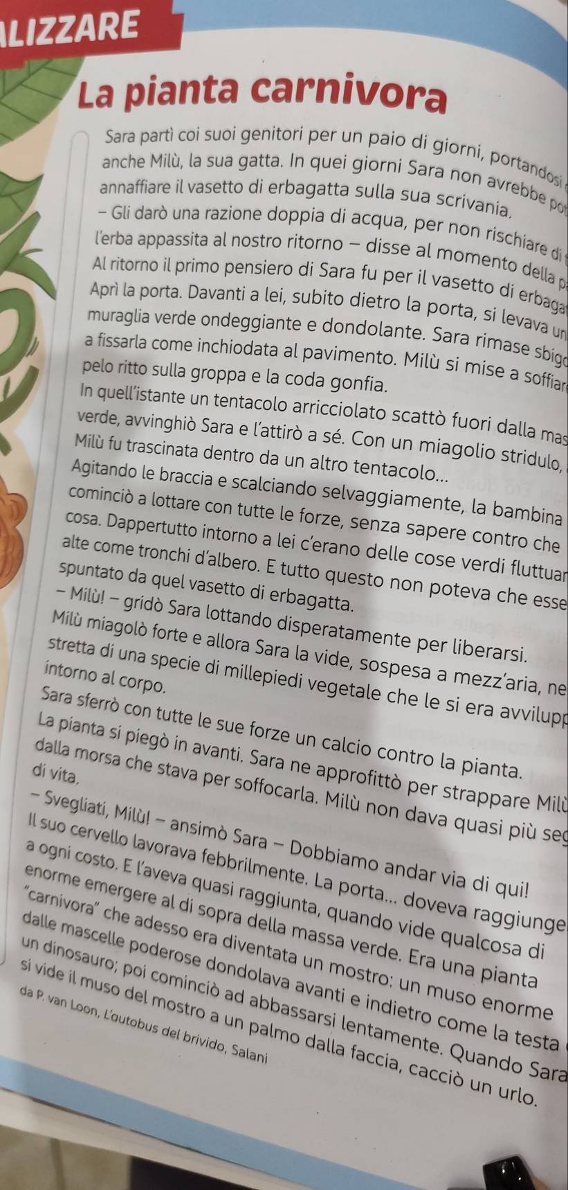 LIZZARE
La pianta carnivora
Sara partì coi suoi genitori per un paio di giorni, portandosi
anche Milù, la sua gatta. In quei giorni Sara non avrebbe po
annaffiare il vasetto di erbagatta sulla sua scrivania.
- Gli darò una razione doppia di acqua, per non rischiare di
l'erba appassita al nostro ritorno - disse al momento della p
Al ritorno il primo pensiero di Sara fu per il vasetto di erbaga
Aprì la porta. Davanti a lei, subito dietro la porta, si levava un
muraglia verde ondeggiante e dondolante. Sara rimase sbige
a fissarla come inchiodata al pavimento. Milù si mise a soffiar
pelo ritto sulla groppa e la coda gonfia.
In quell’istante un tentacolo arricciolato scattò fuori dalla mas
verde, avvinghiò Sara e l’attirò a sé. Con un miagolio stridulo,
Milù fu trascinata dentro da un altro tentacolo...
Agitando le braccia e scalciando selvaggiamente, la bambina
cominciò a lottare con tutte le forze, senza sapere contro che
cosa. Dappertutto intorno a lei c’erano delle cose verdi fluttuar
alte come tronchi d’albero. E tutto questo non poteva che esse
spuntato da quel vasetto di erbagatta.
-  Milù! - gridò Sara lottando disperatamente per liberarsi.
Milù miagolò forte e allora Sara la vide, sospesa a mezz’aria, ne
intorno al corpo.
stretta di una specie di millepiedi vegetale che le si era avvilup 
Sara sferrò con tutte le sue forze un calcio contro la pianta.
La pianta si piegò in avanti. Sara ne approfittò per strappare Mili
di vita.
dalla morsa che stava per soffocarla. Milù non dava quasi più ses
- Svegliati, Milù! - ansimò Sara - Dobbiamo andar via di qui
l suo cervello lavorava febbrilmente. La porta... doveva raggiunge
a ogni costo. E l'aveva quasi raggiunta, quando vide qualcosa de
enorme emergere al di sopra della massa verde. Era una pianta
carnivora'' che adesso era diventata un mostro: un muso enorme
dalle mascelle poderose dondolava avanti e indietro come la testá
un dinosauro; poi cominciò ad abbassarsi lentamente. Quando Sar
da P. van Loon, L'œutobus del brivido, Salan
Si vide il muso del mostro a un palmo dalla faccia, cacció un urlo