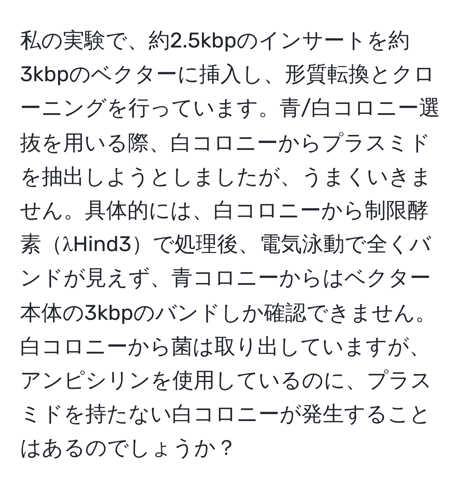 私の実験で、約2.5kbpのインサートを約3kbpのベクターに挿入し、形質転換とクローニングを行っています。青/白コロニー選抜を用いる際、白コロニーからプラスミドを抽出しようとしましたが、うまくいきません。具体的には、白コロニーから制限酵素λHind3で処理後、電気泳動で全くバンドが見えず、青コロニーからはベクター本体の3kbpのバンドしか確認できません。白コロニーから菌は取り出していますが、アンピシリンを使用しているのに、プラスミドを持たない白コロニーが発生することはあるのでしょうか？