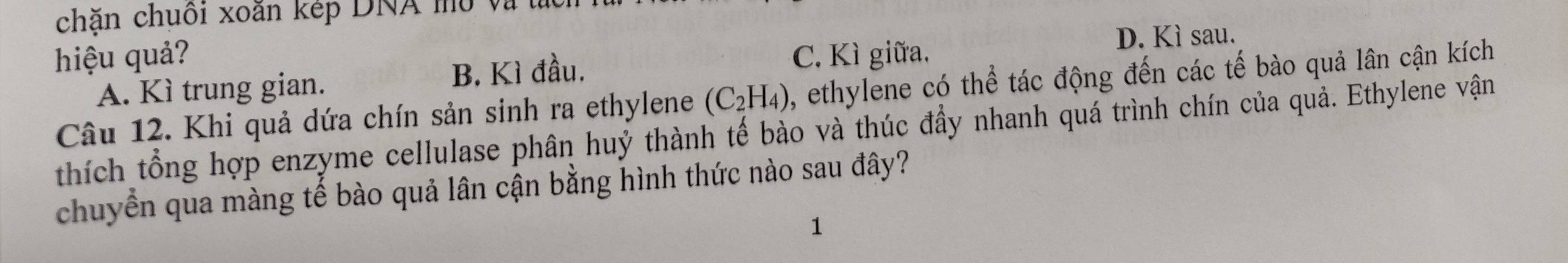 chặn chuôi xoăn kép DNA mô và
hiệu quả? C. Kì giữa.
D. Kì sau.
A. Kì trung gian.
B. Kì đầu.
Câu 12. Khi quả dứa chín sản sinh ra ethylene (C_2H_4) , ethylene có thể tác động đến các tế bào quả lân cận kích
thích tổng hợp enzyme cellulase phân huỷ thành tế bảo và thúc đầy nhanh quá trình chín của quả. Ethylene vận
chuyển qua màng tế bào quả lân cận bằng hình thức nào sau đây?
1