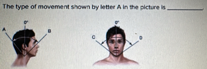 Solved: The type of movement shown by letter A in the picture is_ . A ...