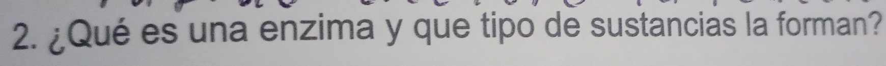 ¿Qué es una enzima y que tipo de sustancias la forman?